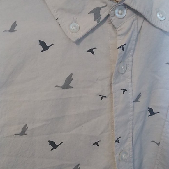 Free nature button down - Picture 2 of 4